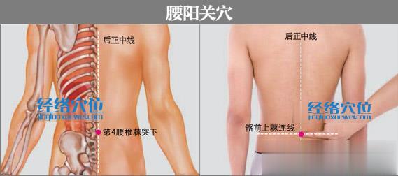 腰陽關穴的準確位置圖