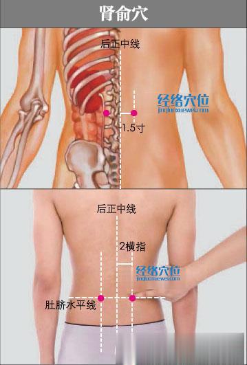 腎俞穴的準確位置圖