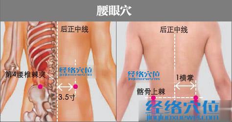 腰眼穴的準確位置圖