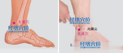 太溪穴的準確位置圖