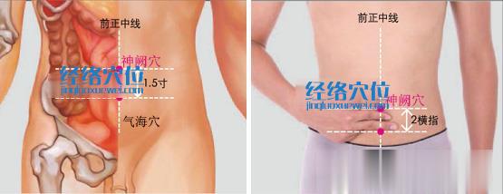 神闕穴的準確位置圖