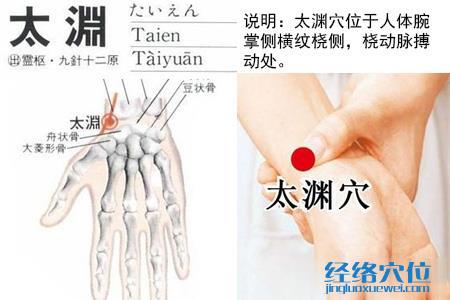太淵穴位位置圖