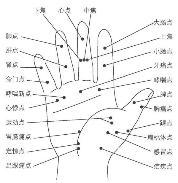 手掌穴位圖