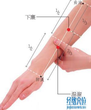 圖解下廉穴的準(zhǔn)確位置