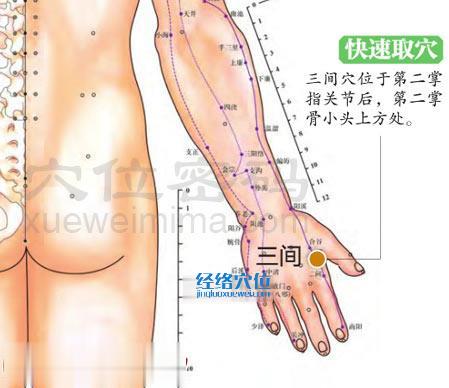 圖解三間穴的準(zhǔn)確位置圖