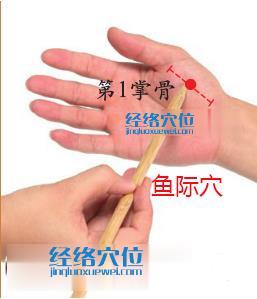 圖解魚際穴的準確位置圖