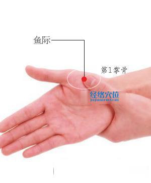 圖解魚際穴的準確位置圖