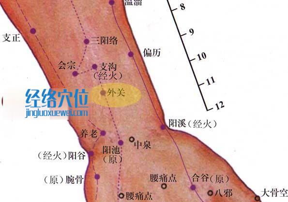 外關(guān)穴的位置圖