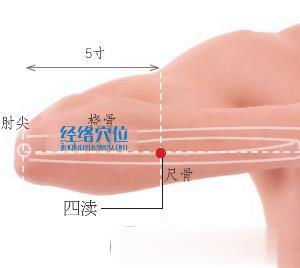 四瀆穴位位置圖