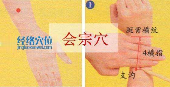 圖解會宗穴的位置及取穴方法