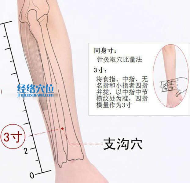支溝穴的準確位置圖及取穴方法示范圖片