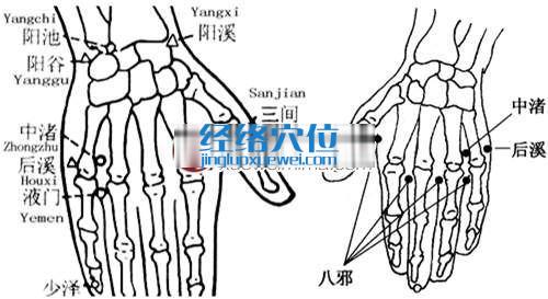 中渚穴的準確位置圖