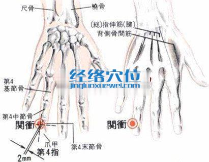 關沖穴的位置解剖分析圖