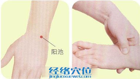 陽池穴按摩方法示范圖片