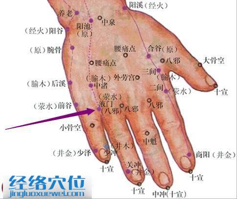 液門(mén)穴的位置圖