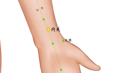內關穴_內關穴準確位置圖和作用位位置圖