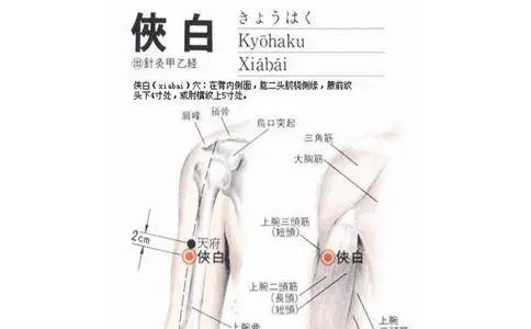 俠白準確位置圖視頻和功效位位置圖