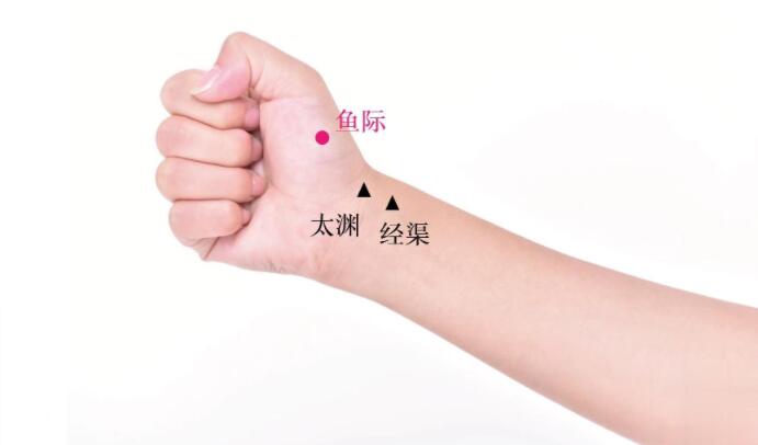魚際的準確位置圖及功效視頻位位置圖