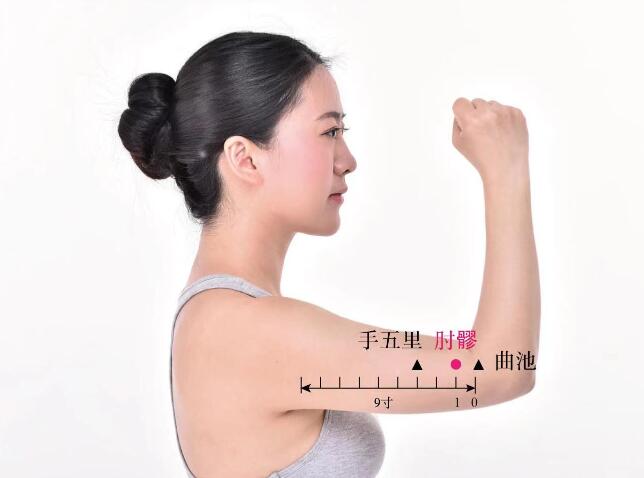 肘髎的準確位置圖及視頻功效位位置圖
