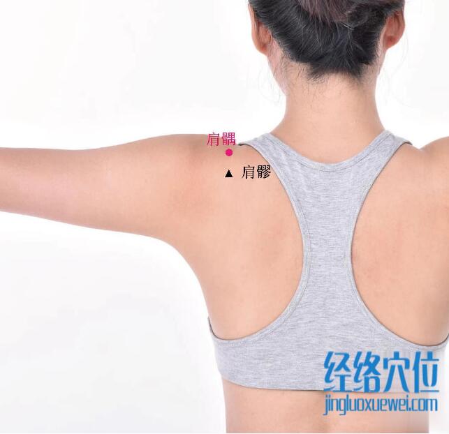 肩髃的準(zhǔn)確位置圖及功效視頻位位置圖