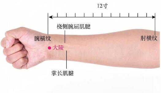 大陵的準確位置圖及功效視頻位位置圖