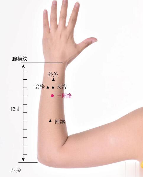 三陽絡的準確位置圖及功效視頻位位置圖