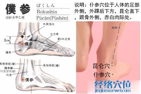 仆參穴
