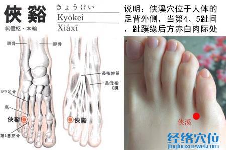 俠溪穴位圖