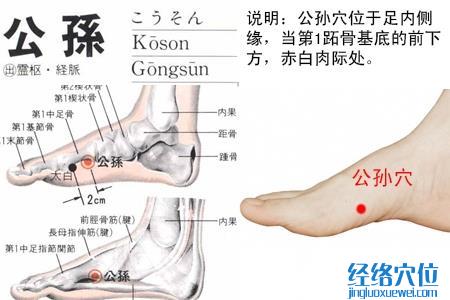 公孫穴位位置圖