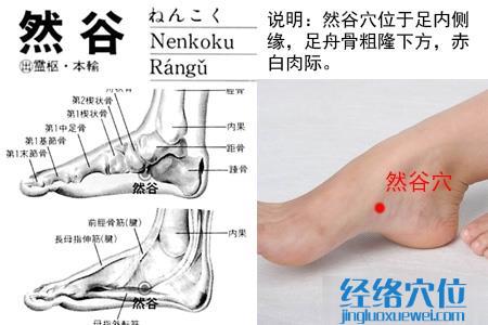 然谷穴位位置圖