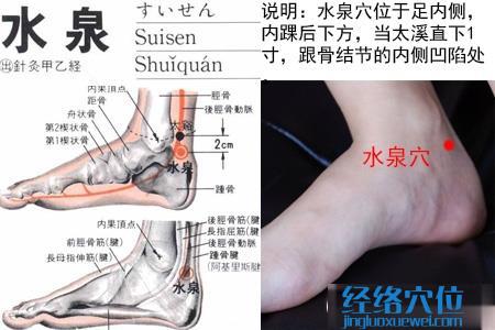 水泉穴位位置圖