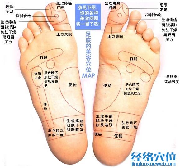 腳底反射區之足底按摩 美容穴位
