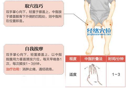 犢鼻穴的準確位置圖