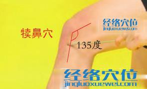 犢鼻穴的準確位置圖