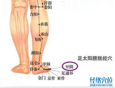 至陰穴