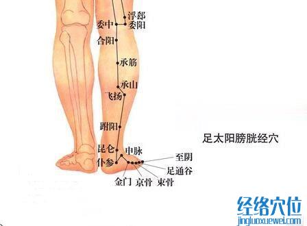 仆參穴的準確位置圖