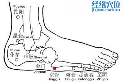 京骨穴的準確位置圖