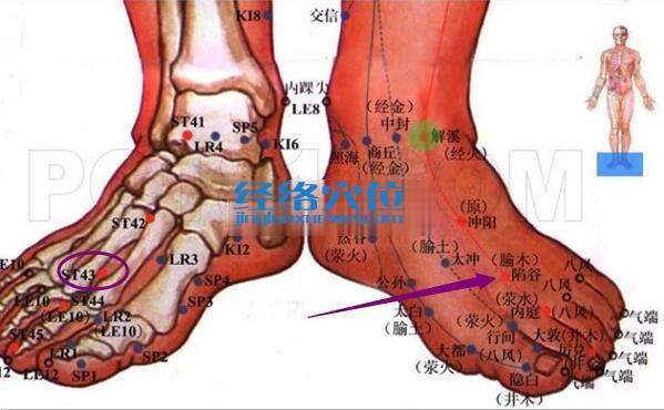 足陽明胃經 陷谷穴