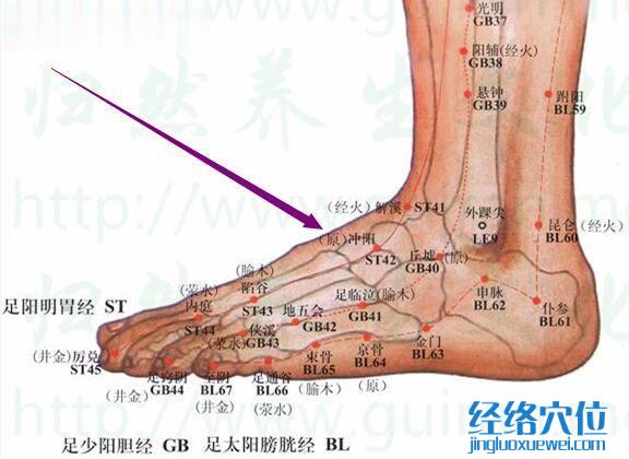 沖陽穴的準(zhǔn)確位置圖