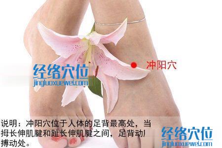 沖陽穴位位置圖