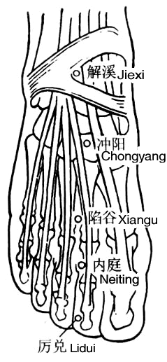 沖陽穴的準(zhǔn)確位置圖