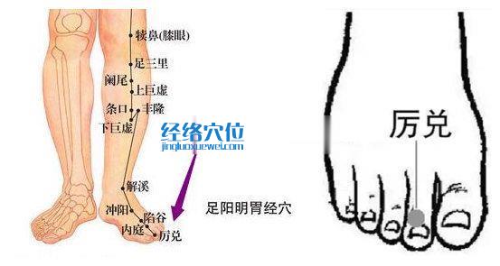 厲兌穴位位置圖