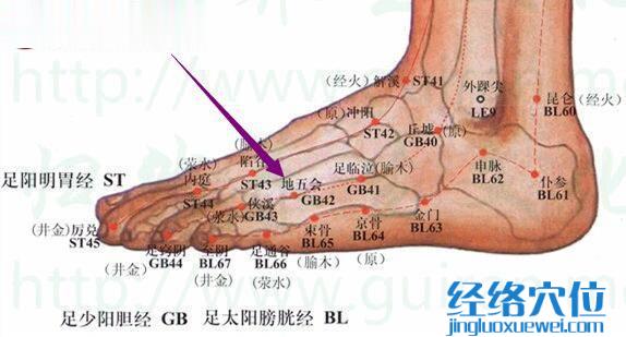 地五會穴的位置圖