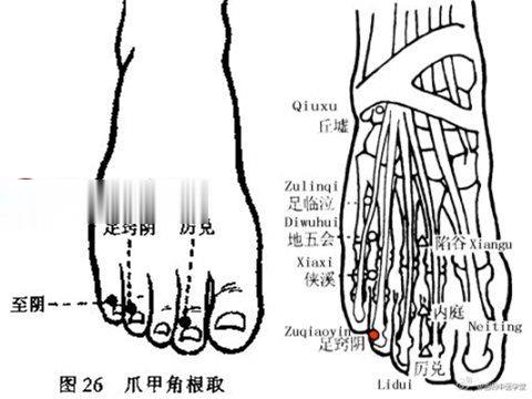 足竅陰穴位位置圖
