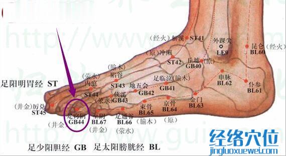 足竅陰穴位圖