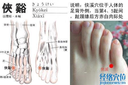 俠溪穴位位置圖
