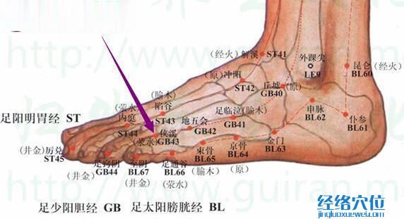 俠溪穴的位置圖