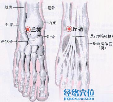 丘墟穴的位置解剖分析圖