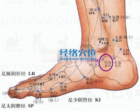 照海穴的準確位置圖