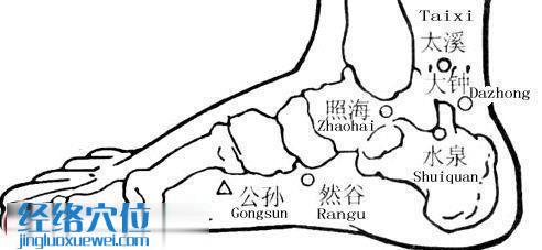 照海穴的準確位置圖